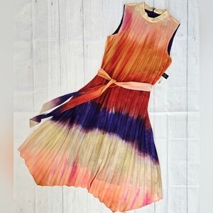 Tahari ASL Multicolor Pleated Trapeze Dress NWT Size 10